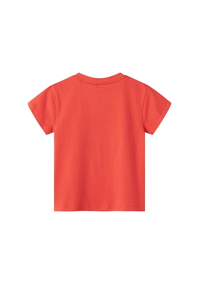 Name It Nmmfısh Nreg Ss Top Box Yeşil Erkek Çocuk Kısa Kol T-shirt Yeşil