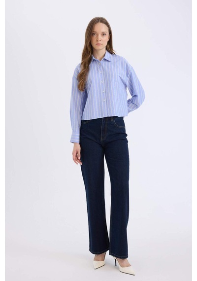 DeFacto Relax Fit Çizgili Poplin Uzun Kollu Gömlek E1261AX25SPNV248