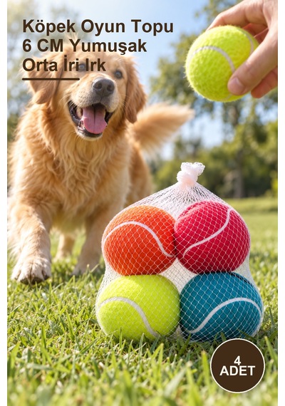 4 Adet Köpek Oyun Topu 6 Cm Yumuşak Orta İri Irk