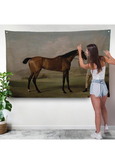 George Stubbs'un Uzun Bacaklı At Ve Jokeyi Duvar Örtüsü - Molly Long-legs With Her Jockey-7012
