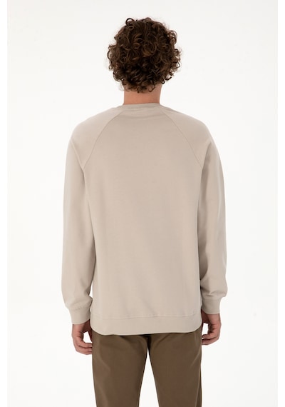 U.S. Polo Assn. Erkek Regular Fit Bisiklet Yaka Taş İnce Basic Sweatshirt 50313752-VR049