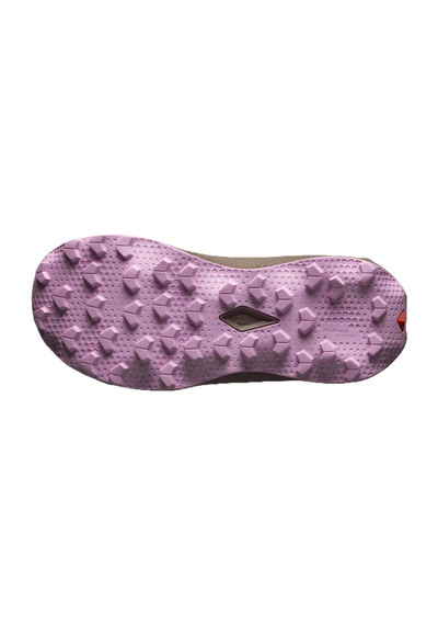Salomon Ultra Flow 2 Gtx Kadın Ayakkabısı L47884400 Çok Renkli