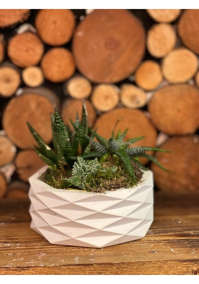 Geometrik Beyaz Dekoratif Saksı Modern Minimal Tasarım Bitki Dahil Değildir