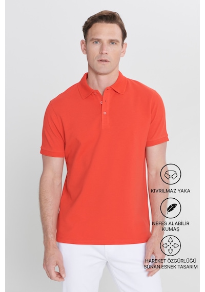AC&Co / Altınyıldız Classics Erkek Nar Çiçeği Slim Fit Dar Kesim Polo Yaka %100 Pamuk Tişört 4A4820200001NCCXL Narçiçeği AC&Co / Altınyıldız Classics Erkek Nar Çiçeği Slim Fit Dar Kesim Polo Yaka %100 Pamuk Tişört 4A4820200001NCCXL Narçiçeği