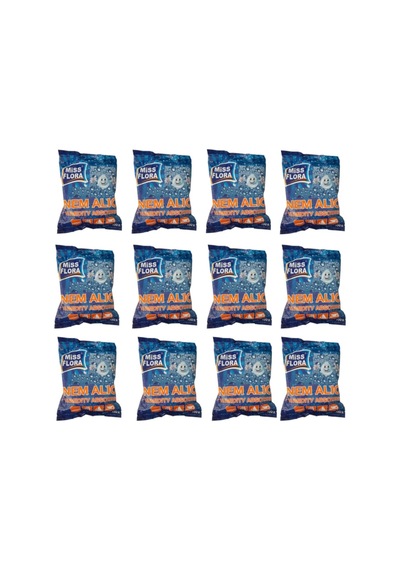 Flora Nem Alıcı 450 G Yedek 12&apos Li Paket