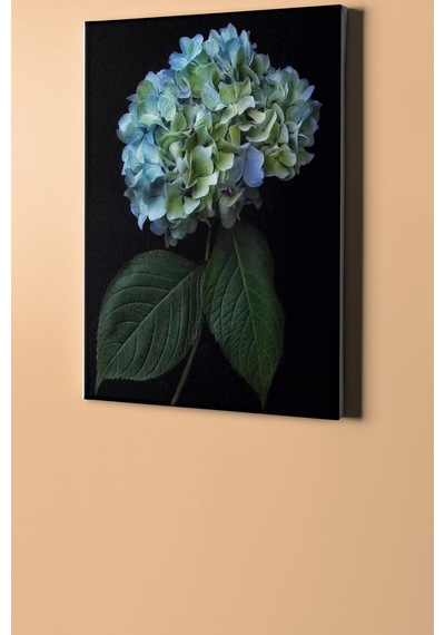 Webstyle Sayılarla Boyama Seti Kasnaklı Dağ Ortancası 60 X 75 Cm