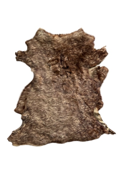 Naturel Uzun Tüylü Koyun Postu Çok Renkli 60 X 50 Cm