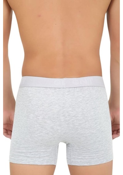 Cnt Erkek Pamuklu Boxer 5'li Paket Gri Gri