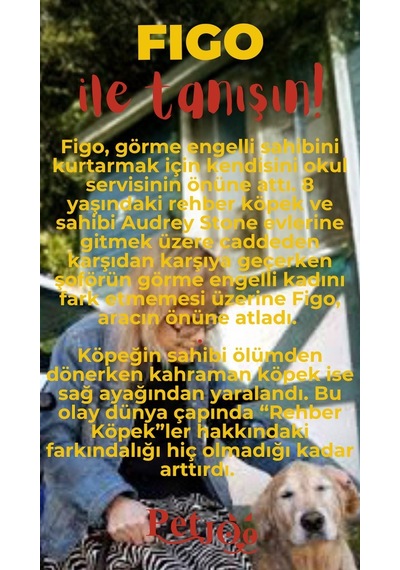 Petjoo 27.Figo Kırmızı-Sarı Qr'lı Köpek Künyesi