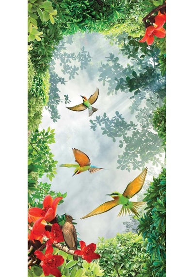 Kapı Giydirme Kapı Sticker Folyosu 3d Kuşlar