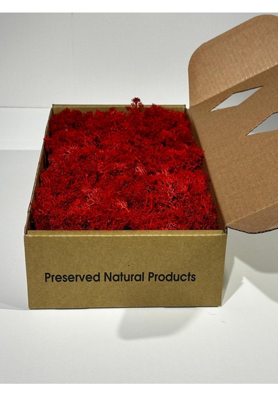 Reindermoss Şoklanmış Norveç Yosunu Terarium Yosunu Kırmızı 100 Gr.