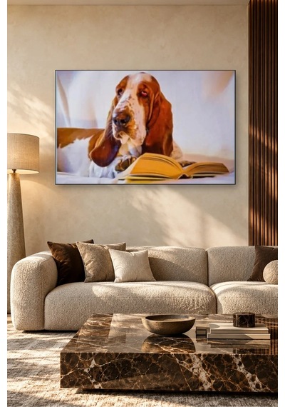 Fida Kitap Okuyan Basset Hound Canvas Tablo Çok Renkli