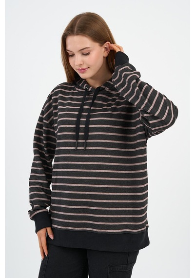 Alexander Gardi Çizgili Kapüşonlu Sweatshirt Unx-00242-wn Kahverengi