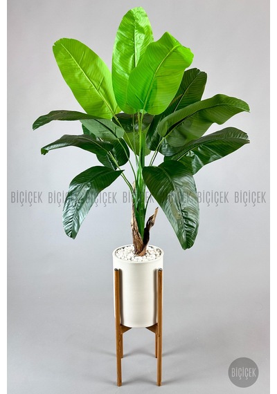 Yapay Muz Ağaci 125 Cm Ayakli Krem Metal Saksıda