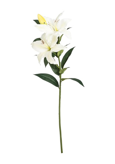 Concept Zambak Çiçeği Beyaz 85cm