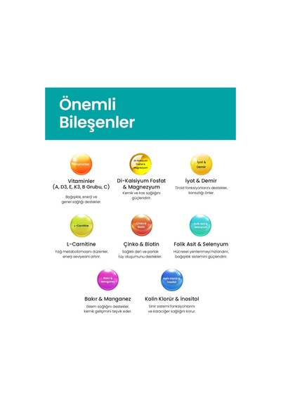 Köpekler İçin Multivitamin