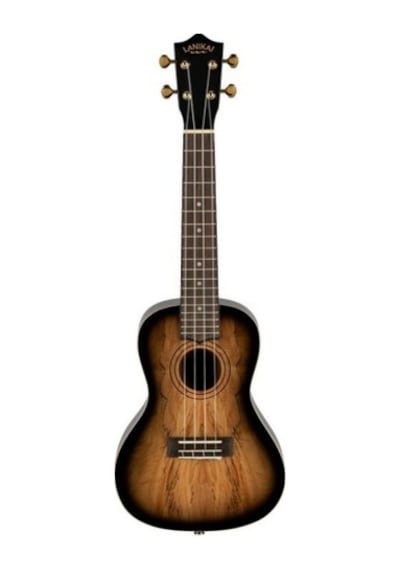 Laniikai Limited Edition Smbb-cx Spalted Maple Concert Ukulele