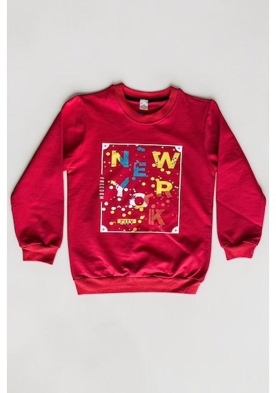 Minik Motion 3'lü Set Çocuk Baskılı 2 İplik Penye Sweatshirt Lacivert - Kırmızı - Füme