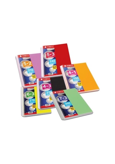 Tigra Neda 6+2 Seperatörlü Defter 5 Kareli 2 Çizgili 240 Yaprak Muhtelif Renkler