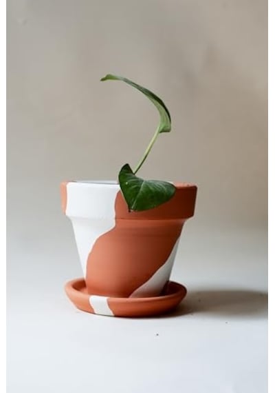 Terracotta Konik Saksı+tabak Bohem Beyaz Küçük