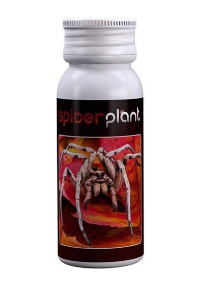 Agrobacterias Spider Plant 15 ML
