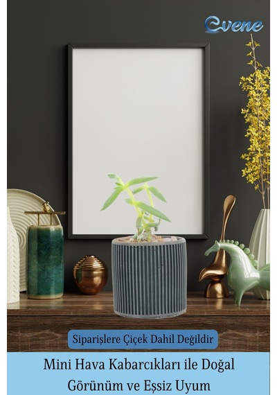 Mini Çiçek Saksı Küçük Sukulent Siyah Kaktüs Saksısı 3'lü Set Düz İnce Çizgili Model