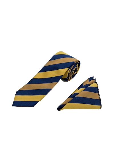 Brianze Sarı Gold Lacivert Çizgili Kravat Mendil Set 83742476