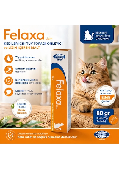 Biyoteknik Felaxa Lizin Oral Pat Malt 80 Gr