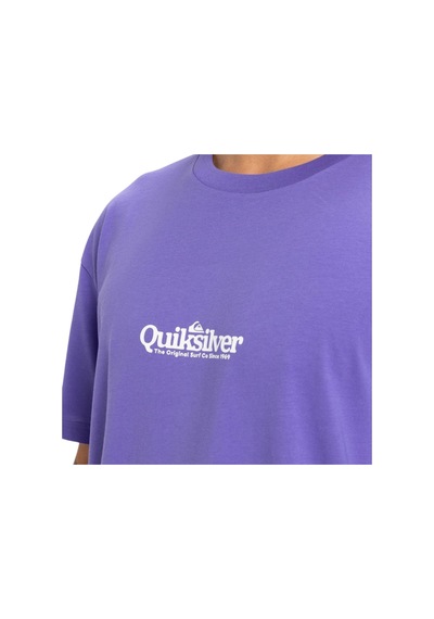 Quıksılver Quiksilver Fineline Erkek Mor Tişört Pmg0 Mor