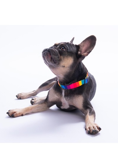 Rainbow Gökkuşağı Desenli Renkli Köpek Boyun Tasması Ayarlanabilir Köpek Tasması S Çok Renkli