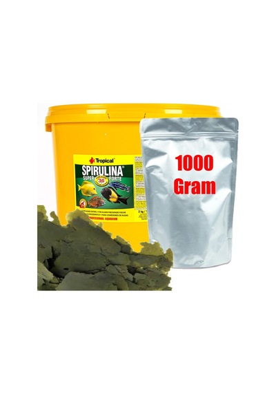 Tropical Süper Spirulina Forte 1000 Gram Pul Yem