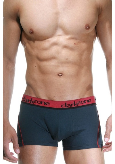 Darkzone Füme Erkek Boxer - Dzn3111