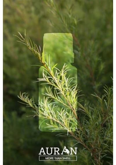 Auran Çay Ağacı Esansiyel Uçucu Koku Yağı Ortam Kokusu Doğal Yağ Sihirli Küre Hobi Esansı 10ml Abundance Prosperity
