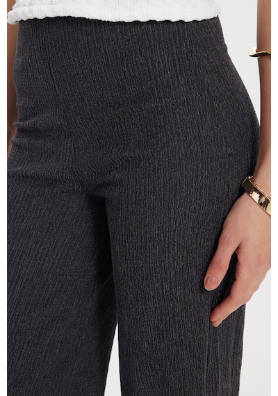 Tudors Kadın Regular Fit Klasik Kesim Beli Lastikli Desenli Antrasit Palazzo Pantolon-50633