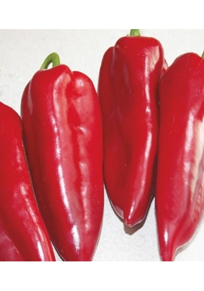 Arzuman Yağlık Salçalık Kırmızı Kapya Biber Tohumu 10 Gr
