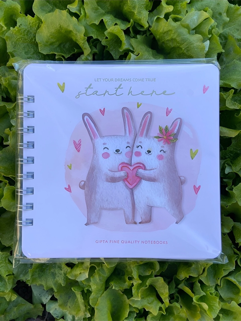 Start 16x16 Sert Kapak Defter Noktalı 100 Yaprak Pembe
