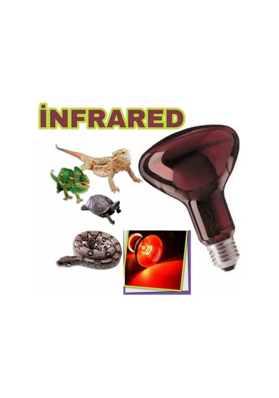 İnfrared 100 Watt Lamba