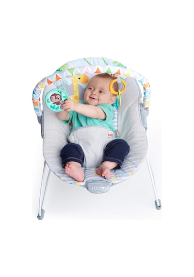 Bright Starts Bebek Salıncağı, Rahatlatıcı Titreşimli Bebek Ana Kucağı