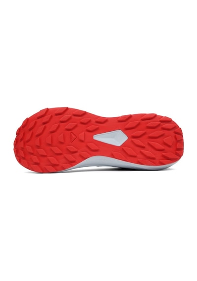 Salomon Alphaglıde Erkek Patika Koşusu Ayakkabısı L47724300 L47724300 Ama Açık Mavi