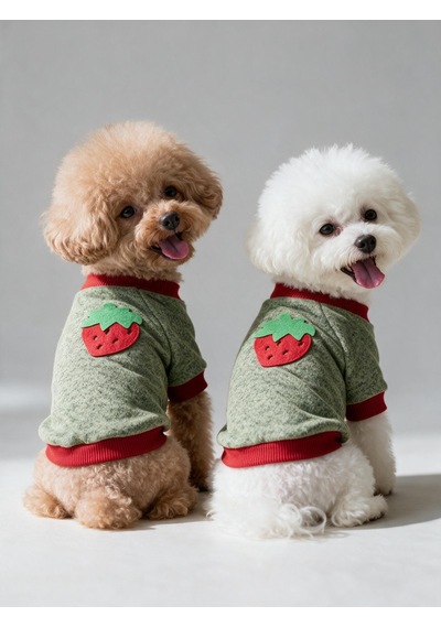 Çilek Tadında Köpek Sweatshirt Kırmızı Yeşil - Sıcacık