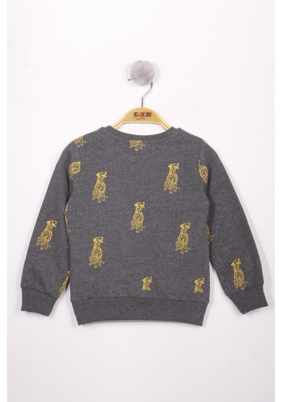 Toontoy Kids Toontoy Erkek Çocuk Relax Fit Bisiklet Yaka Baskılı Sweatshirt - 2 İplik Antrasit