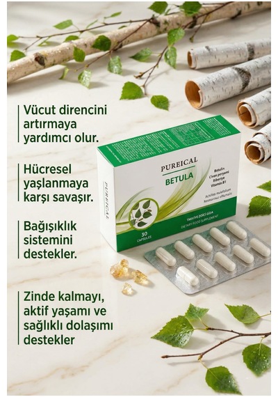 Pureıcal Betula Huş Ağacı Özü Betulin Civan Perçemi Biberiye B1 Vitamini 30 Kapsül