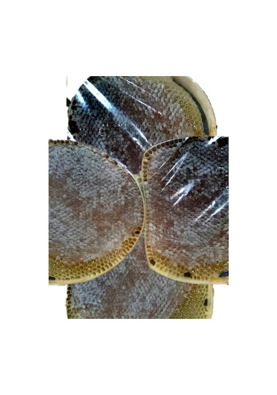 Bingöl Organik Karakovan Balı 1200 G