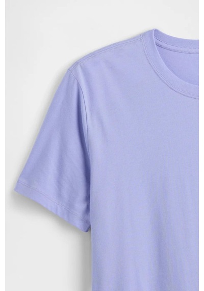 Gap Erkek Everyday Soft Lila T-shirt-14308