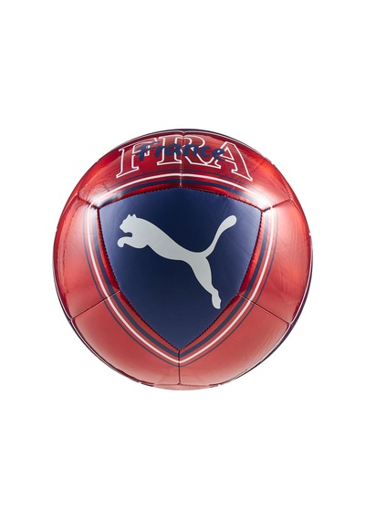 National 2026 Fransa Fan Unisex Mavi Futbol Topu 08496906