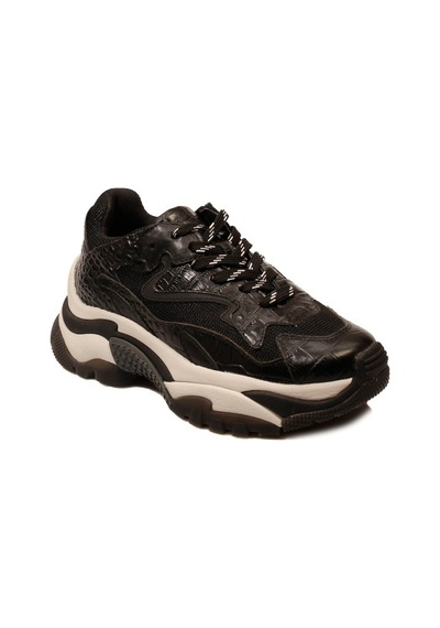 Ash Bayan Sneaker Addict Siyah