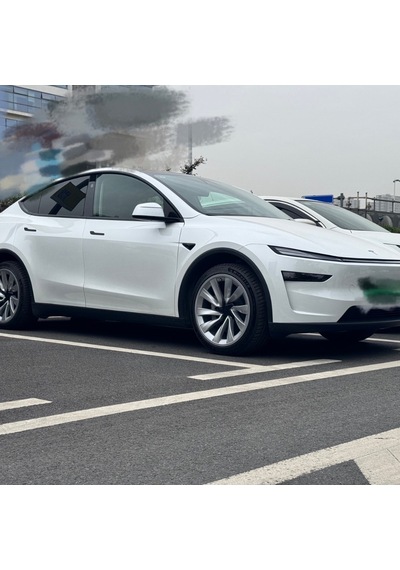Tesla Juniper Integrated Jant Koruma Kapağı Seti 20 İnç Mat Gümüş
