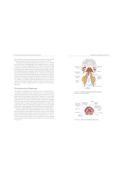 Yoga For Pelvic Floor And Postpartum Health: An Iyengar Yoga Approach To Pelvic Healing And Integrative Wellness Through Anatomy And Practice