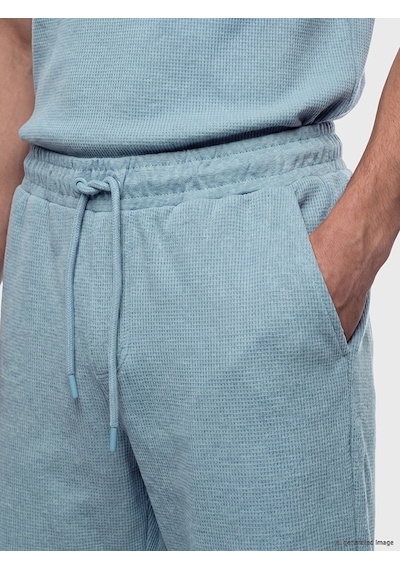 Lcwaıkıkı Classic Mavi Regular Fit Erkek Şort