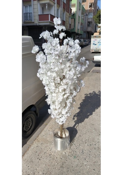 Rüzgar Yapay Çiçekçilik 130 Cm Beyaz Lüx Bahardalı Beyaz